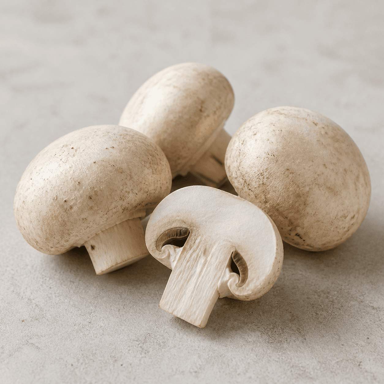 Champignon