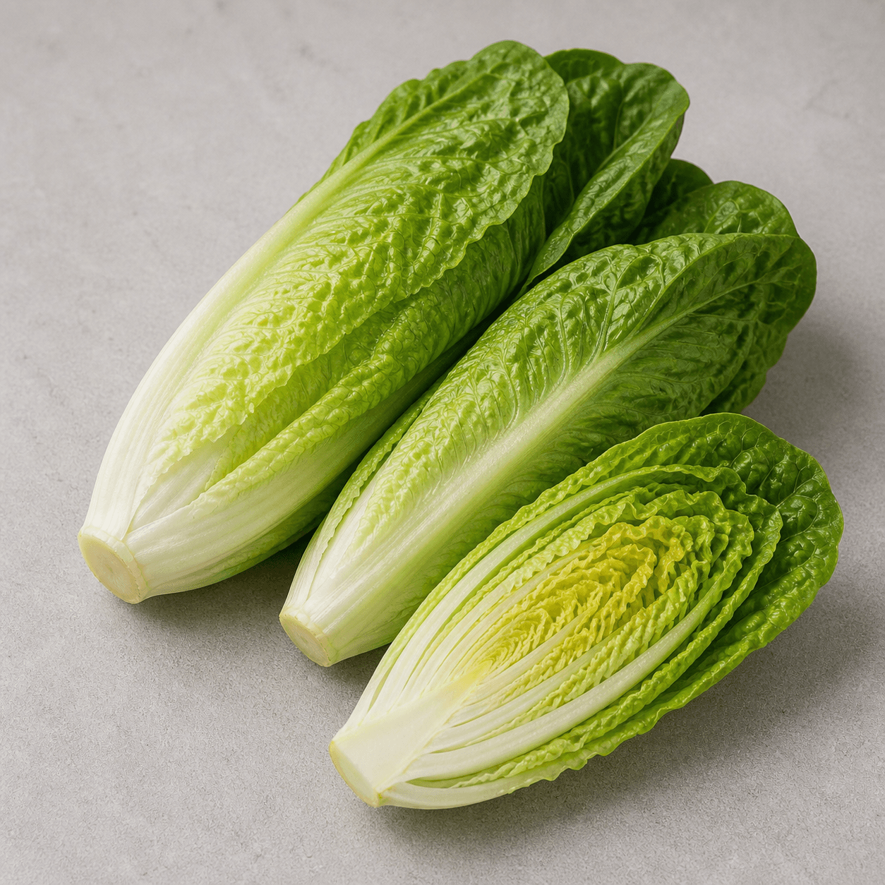 Romainesalat