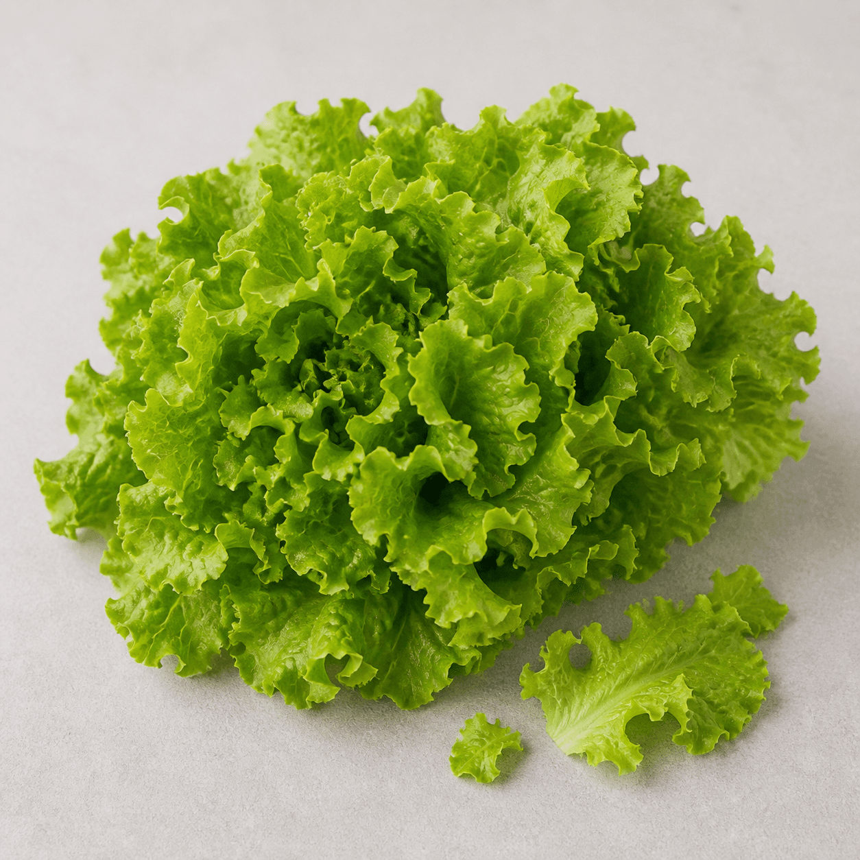 Salat